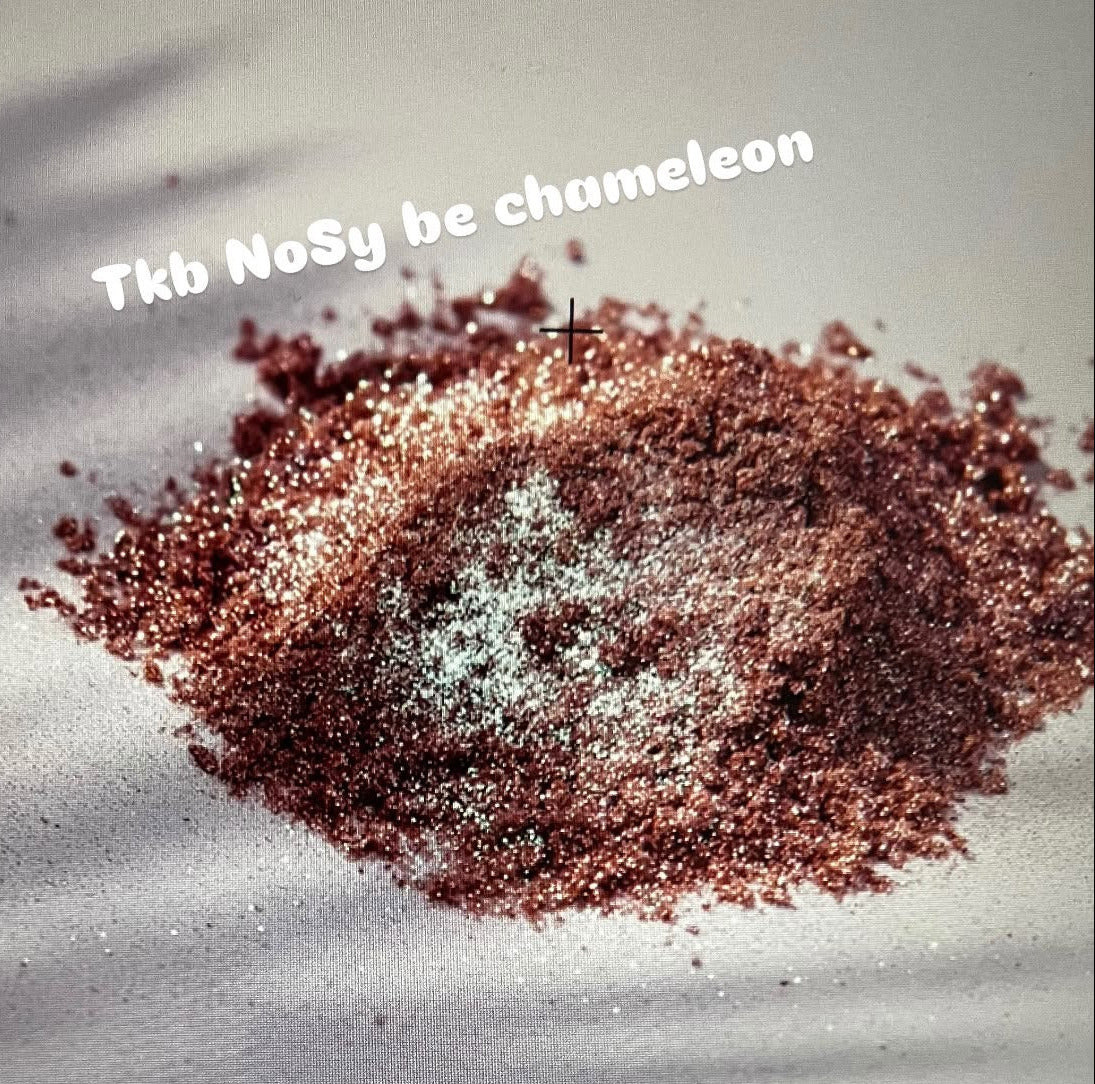 tkb nosy be chameleon