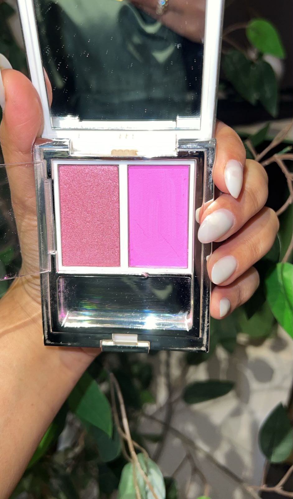 DioR  _ 2__4_1